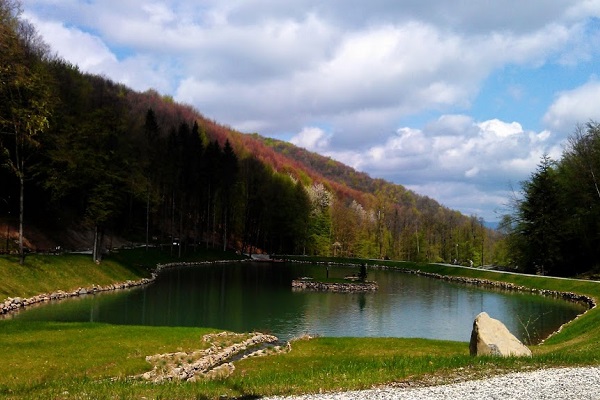 Парк Шенборна, Тур'я Пасіка