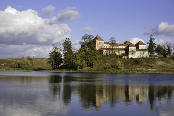 Свірзький замок, Свірж
