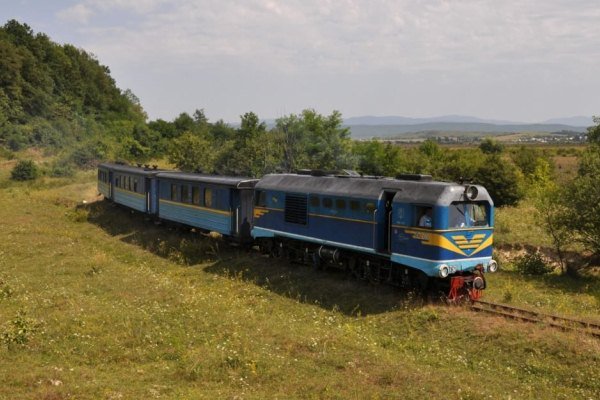 Боржавська вузькоколійка, Берегово