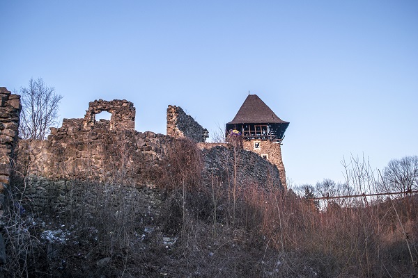 Невицький замок, Невицьке
