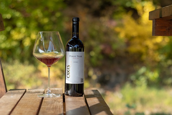 Pinot Noir 2020 Barrique.jpg Pinot Noir 2020 Barrique.jpg