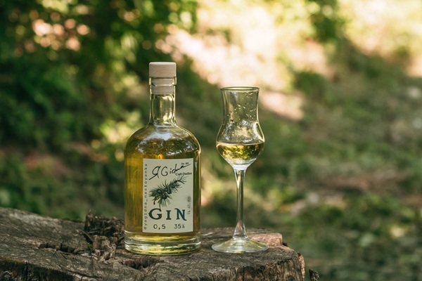 Домашній GIN.jpg